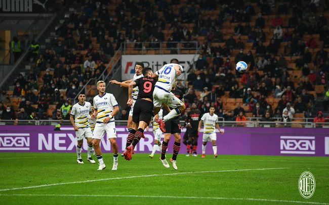 3344看片