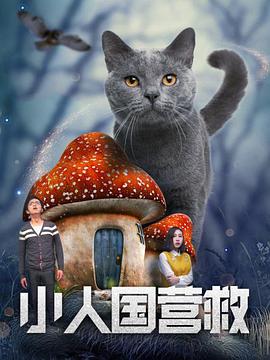 午夜.dj高清在线观看免费1