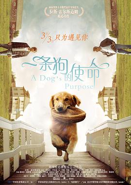 欧美老妇性生活