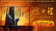 被黑人调教拳头交