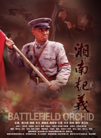 青青久久网