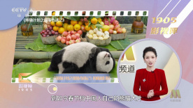 中文字幕va一区二区三区